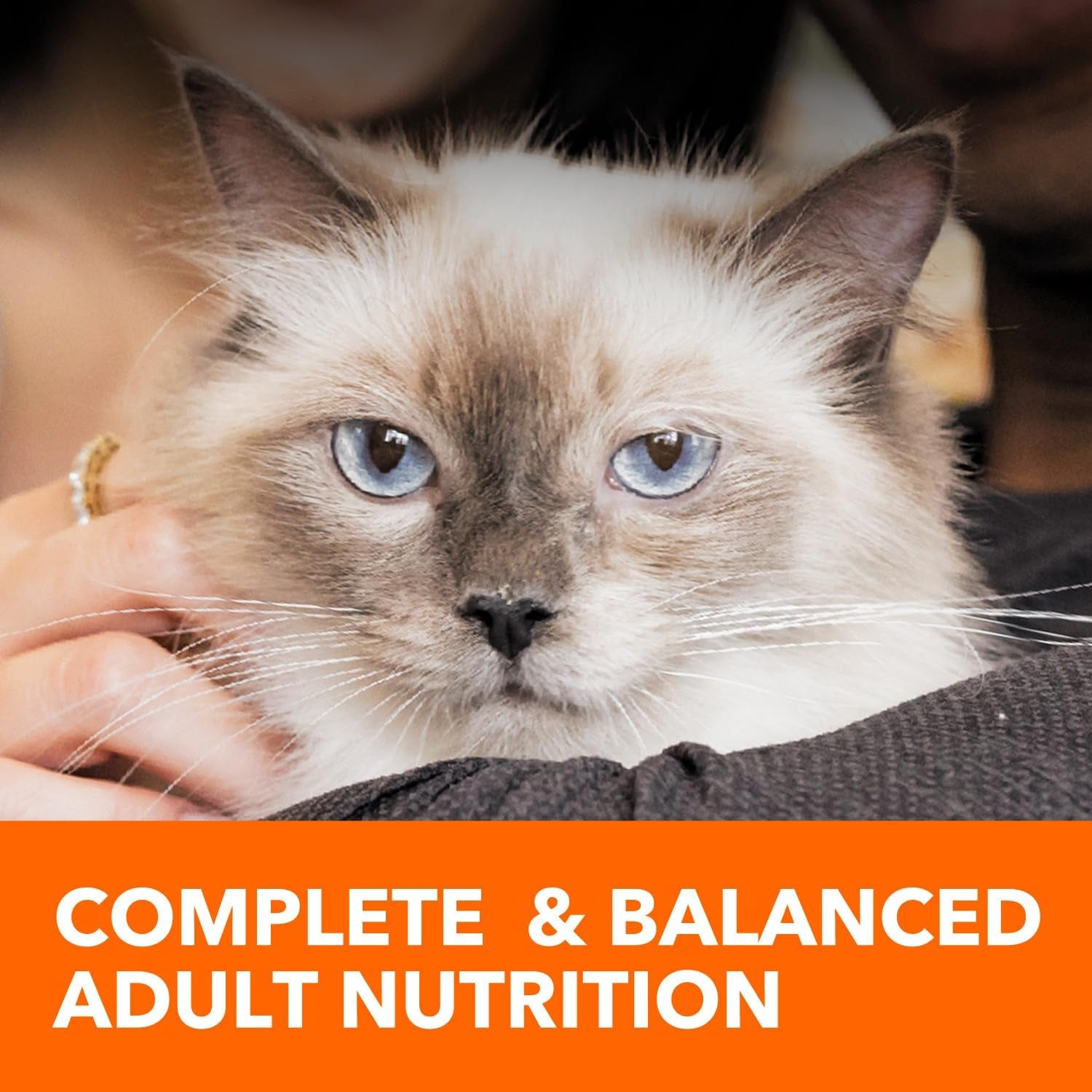 Proactive Health Indoor Weight Control & Hairball Care Adult Dry Cat Food, Chicken & Turkey Recipe, 7 Lb. Bag