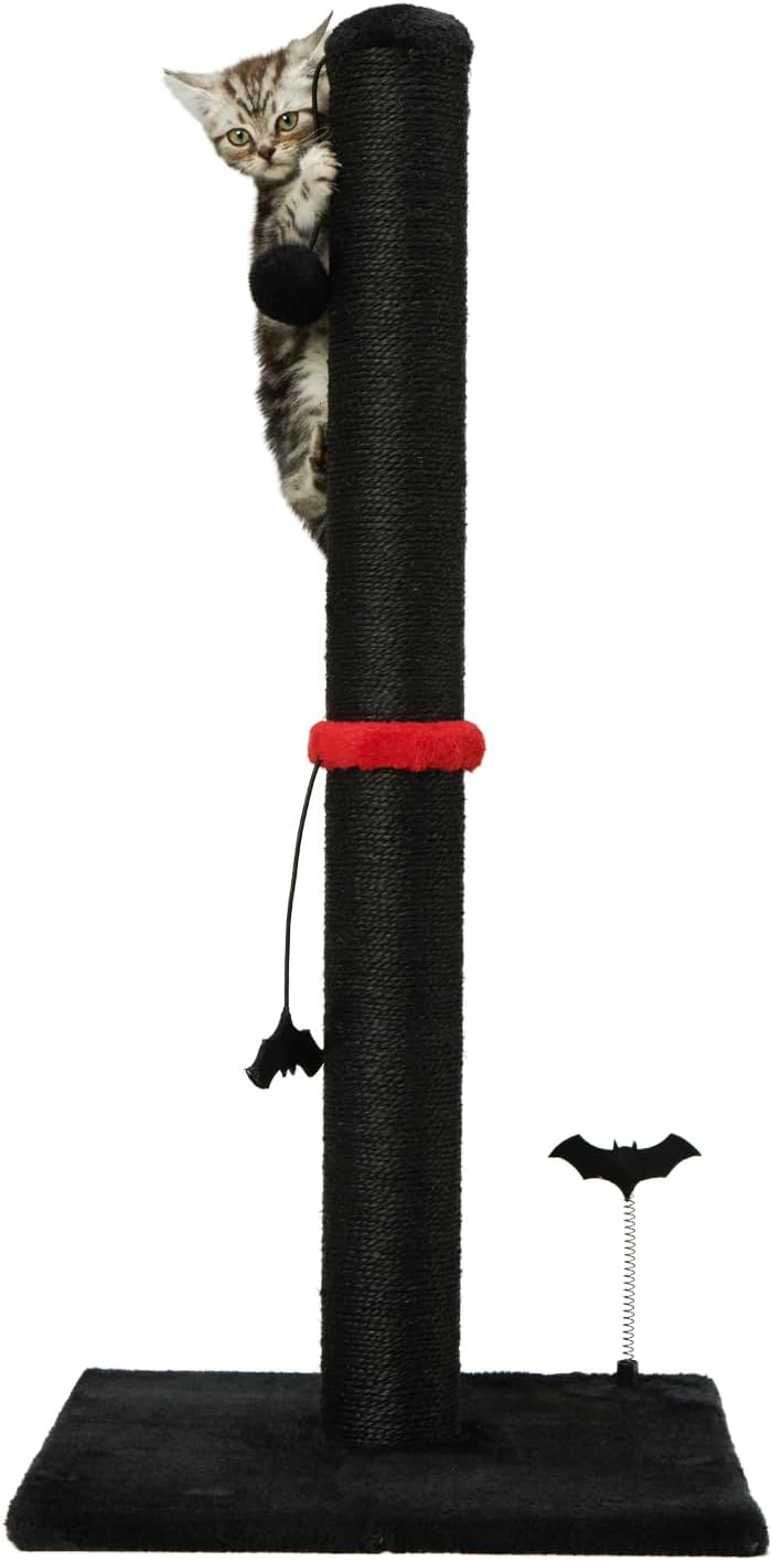 Cat Scratching Post Premium Basics Kitten Scratcher Sisal Scratch Posts with Hanging Ball 22In for Kittens or Smaller Cats (22 Inches for Kitten, Beige)