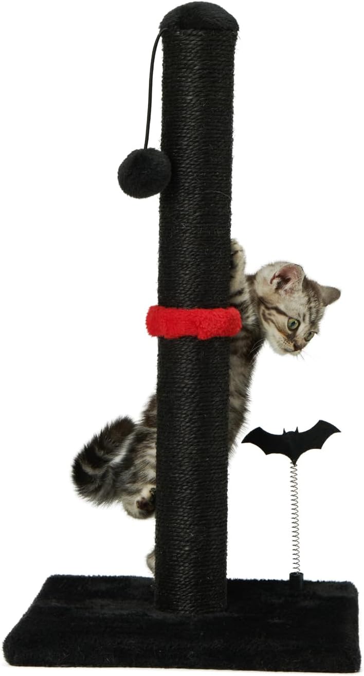 Cat Scratching Post Premium Basics Kitten Scratcher Sisal Scratch Posts with Hanging Ball 22In for Kittens or Smaller Cats (22 Inches for Kitten, Beige)