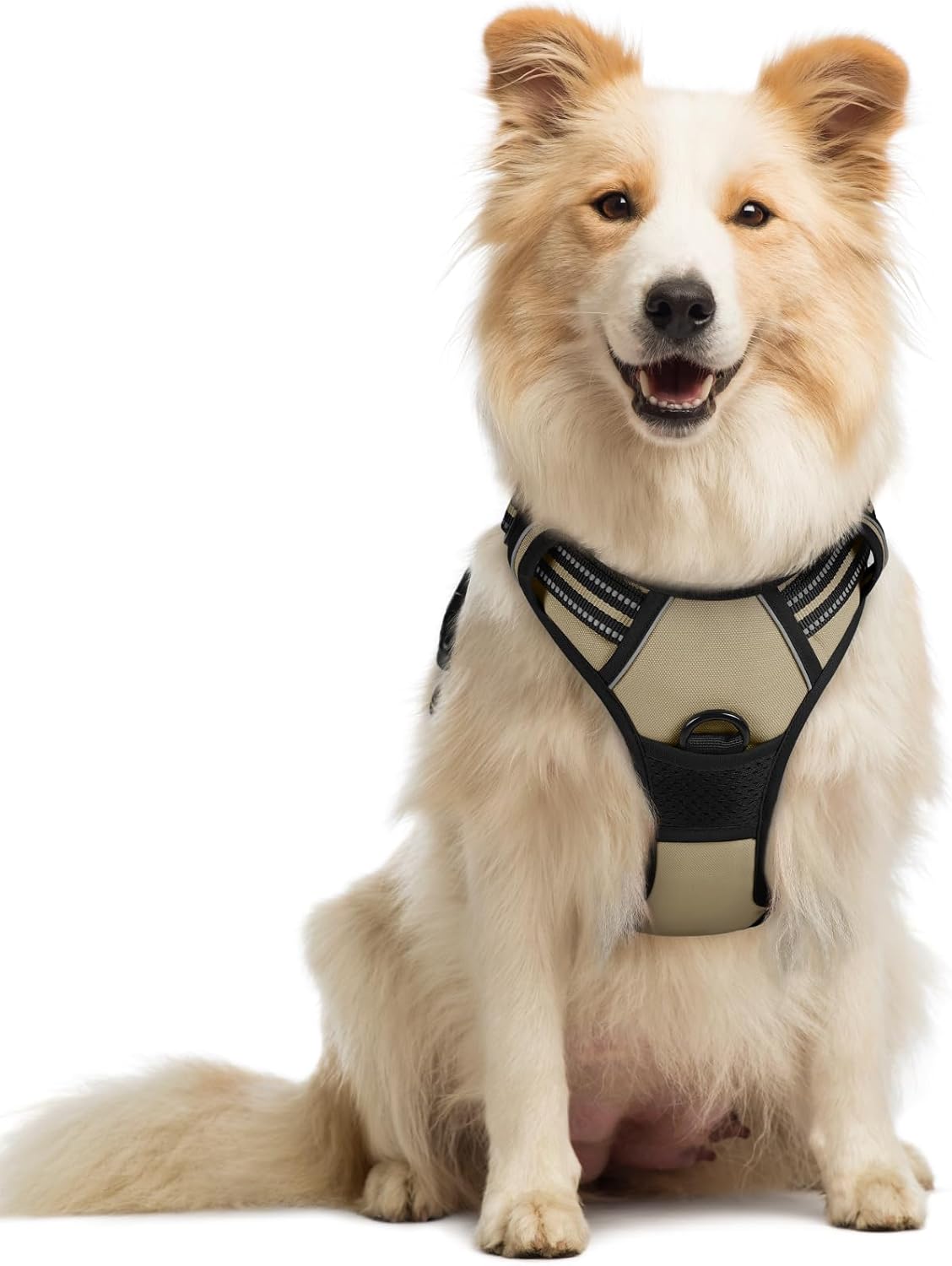 Dog Harness No Pull with 2 Leash Clips, Adjustable Soft Padded, Reflective Oxford No Choke Pet Vest with Easy Control Handle for Large Dogs, Beige, XL