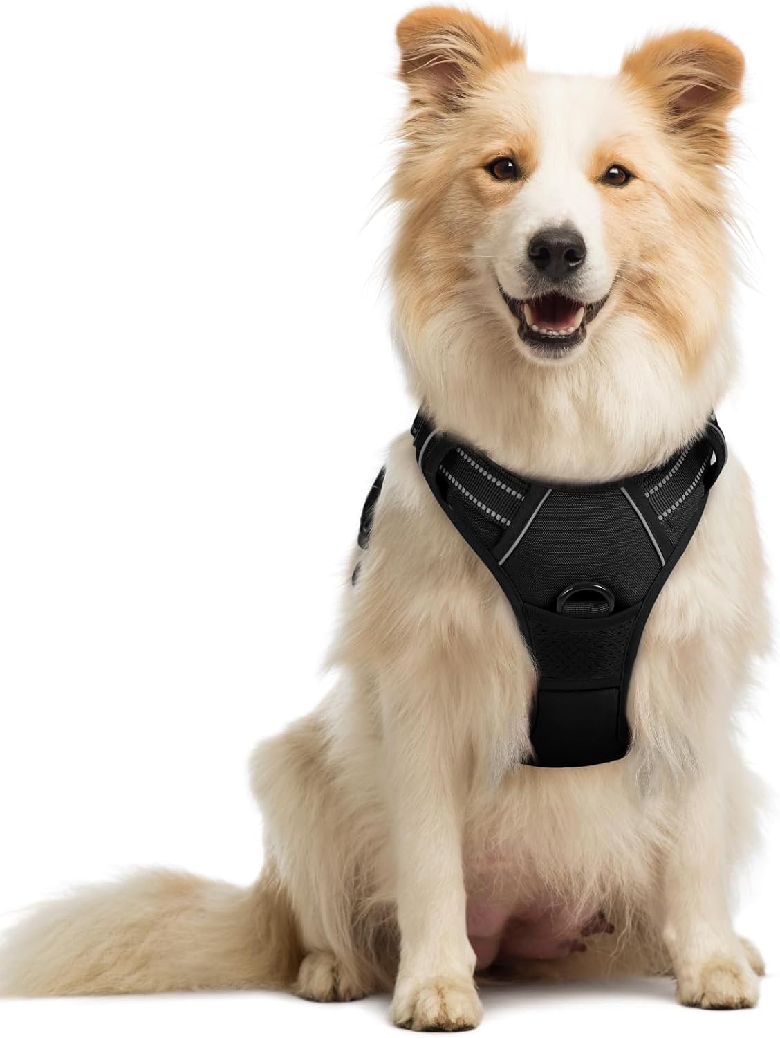 Dog Harness No Pull with 2 Leash Clips, Adjustable Soft Padded, Reflective Oxford No Choke Pet Vest with Easy Control Handle for Large Dogs, Beige, XL
