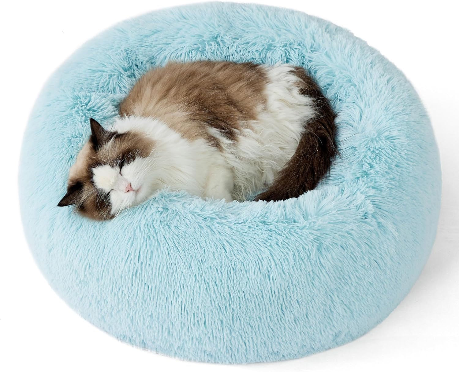 Calming Cat Beds for Indoor Cats - Small Cat Bed Washable 20 Inches, Anti-Slip round Fluffy Plush Faux Fur Pet Bed, Fits up to 15 Lbs Pets, Aqua Blue