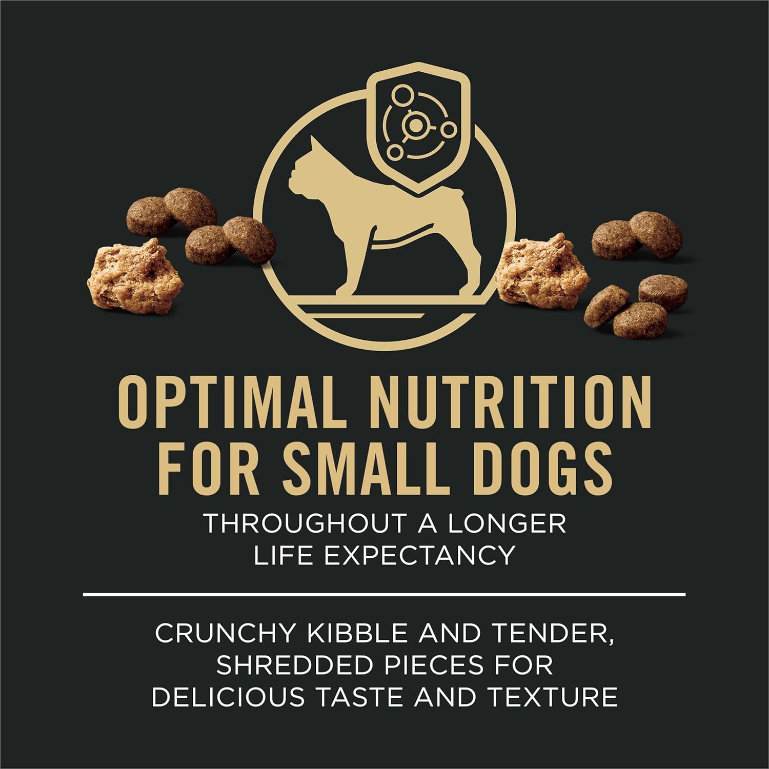 Small Breed Dry Dog Food, Shredded Blend Beef and Rice Formula with Guaranteed Live Probiotics - 6 Lb. Bag