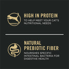 High Protein Cat Food with Probiotics for Cats, Chicken and Rice Formula - 7 Lb. Bag