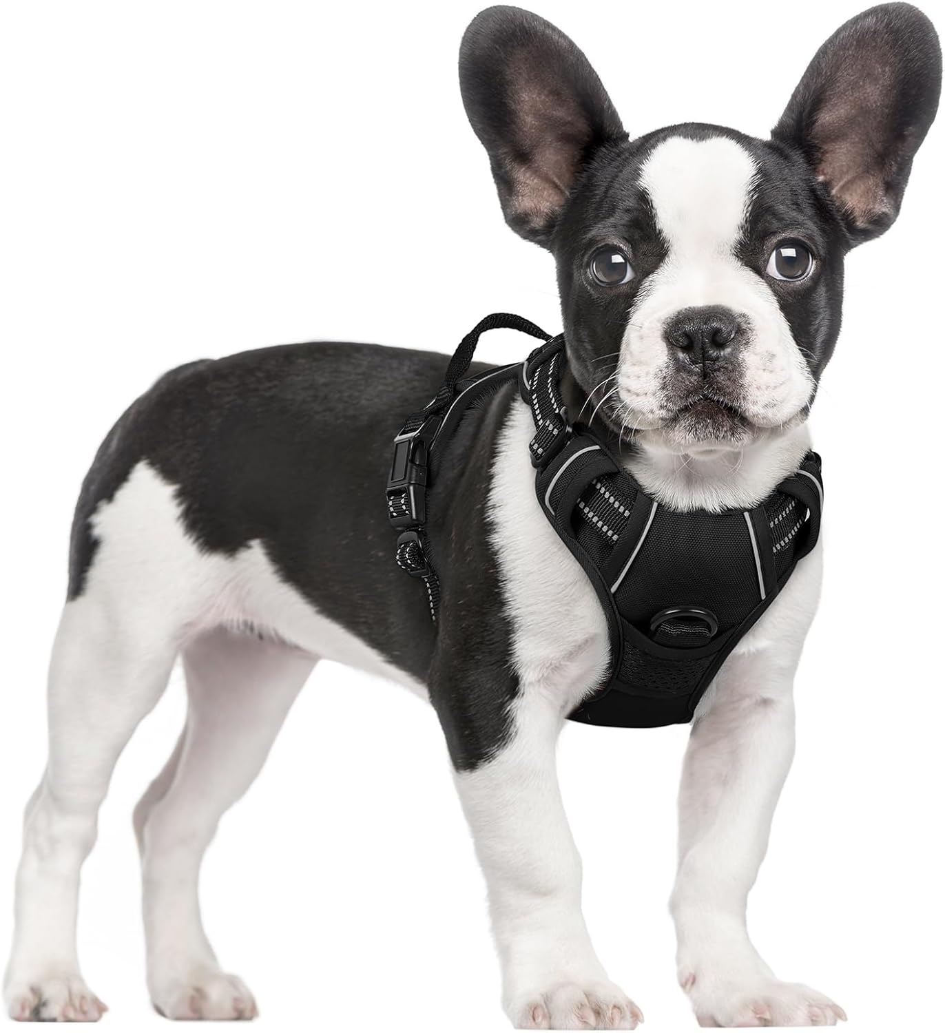 Dog Harness No Pull with 2 Leash Clips, Adjustable Soft Padded, Reflective Oxford No Choke Pet Vest with Easy Control Handle for Large Dogs, Beige, XL