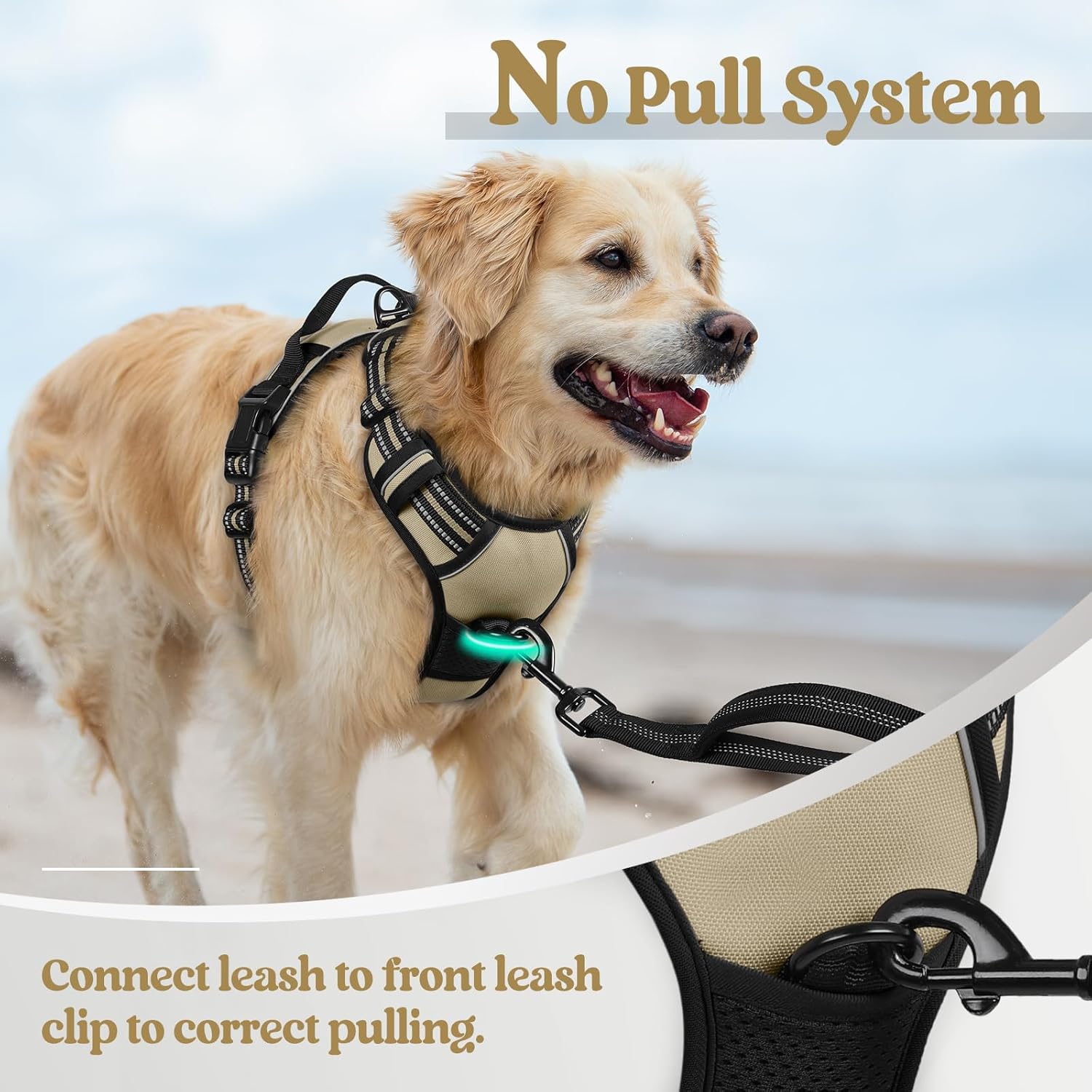 Dog Harness No Pull with 2 Leash Clips, Adjustable Soft Padded, Reflective Oxford No Choke Pet Vest with Easy Control Handle for Large Dogs, Beige, XL