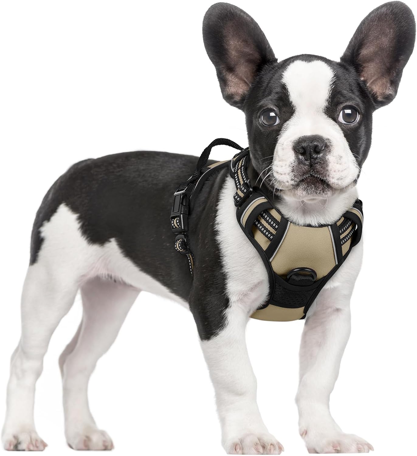 Dog Harness No Pull with 2 Leash Clips, Adjustable Soft Padded, Reflective Oxford No Choke Pet Vest with Easy Control Handle for Large Dogs, Beige, XL