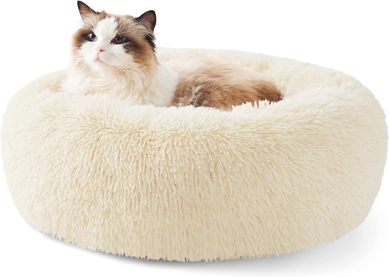 Calming Cat Beds for Indoor Cats - Small Cat Bed Washable 20 Inches, Anti-Slip round Fluffy Plush Faux Fur Pet Bed, Fits up to 15 Lbs Pets, Aqua Blue