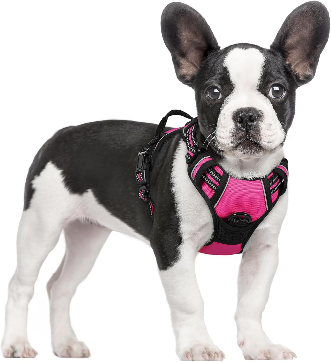 Dog Harness No Pull with 2 Leash Clips, Adjustable Soft Padded, Reflective Oxford No Choke Pet Vest with Easy Control Handle for Large Dogs, Beige, XL