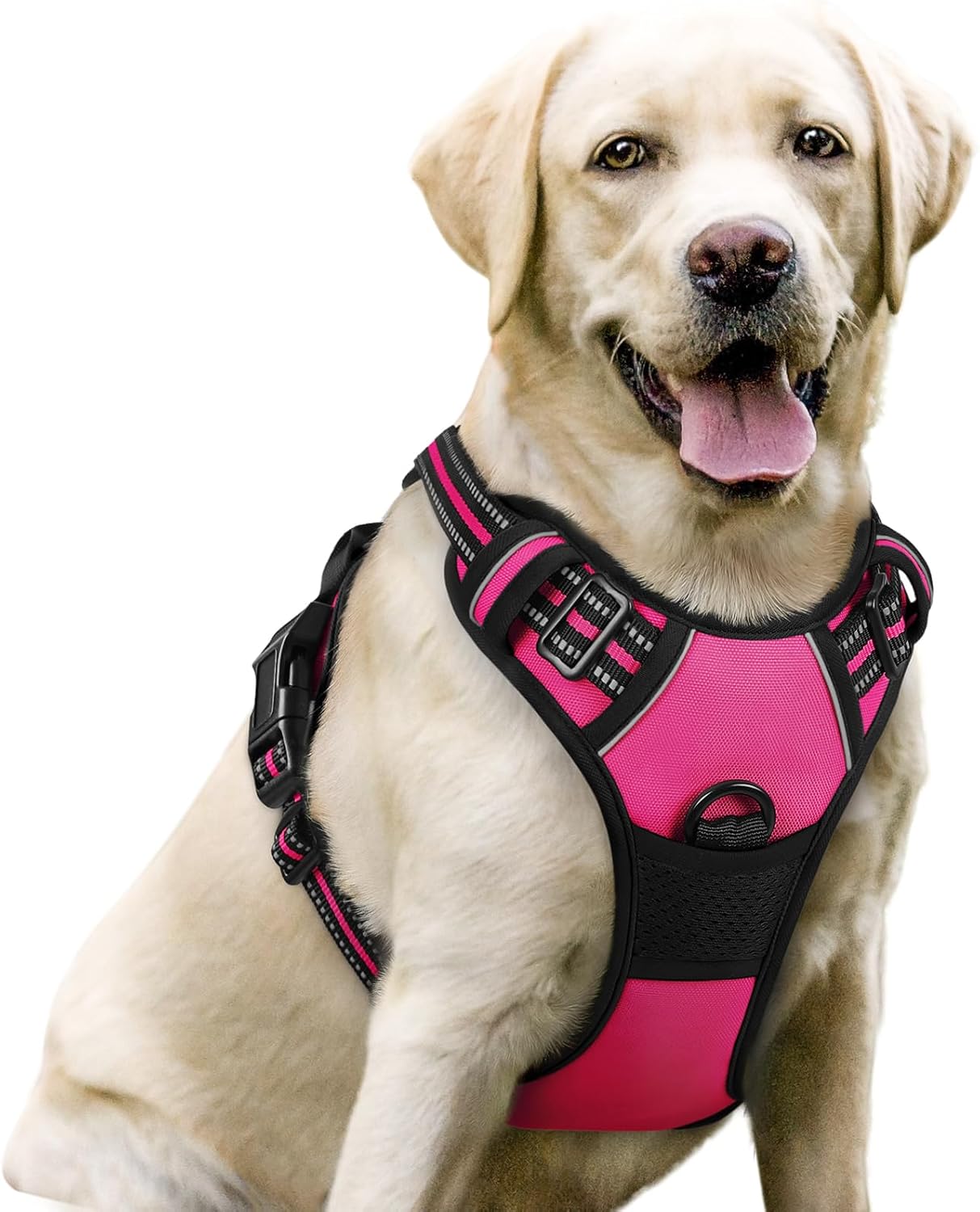 Dog Harness No Pull with 2 Leash Clips, Adjustable Soft Padded, Reflective Oxford No Choke Pet Vest with Easy Control Handle for Large Dogs, Beige, XL