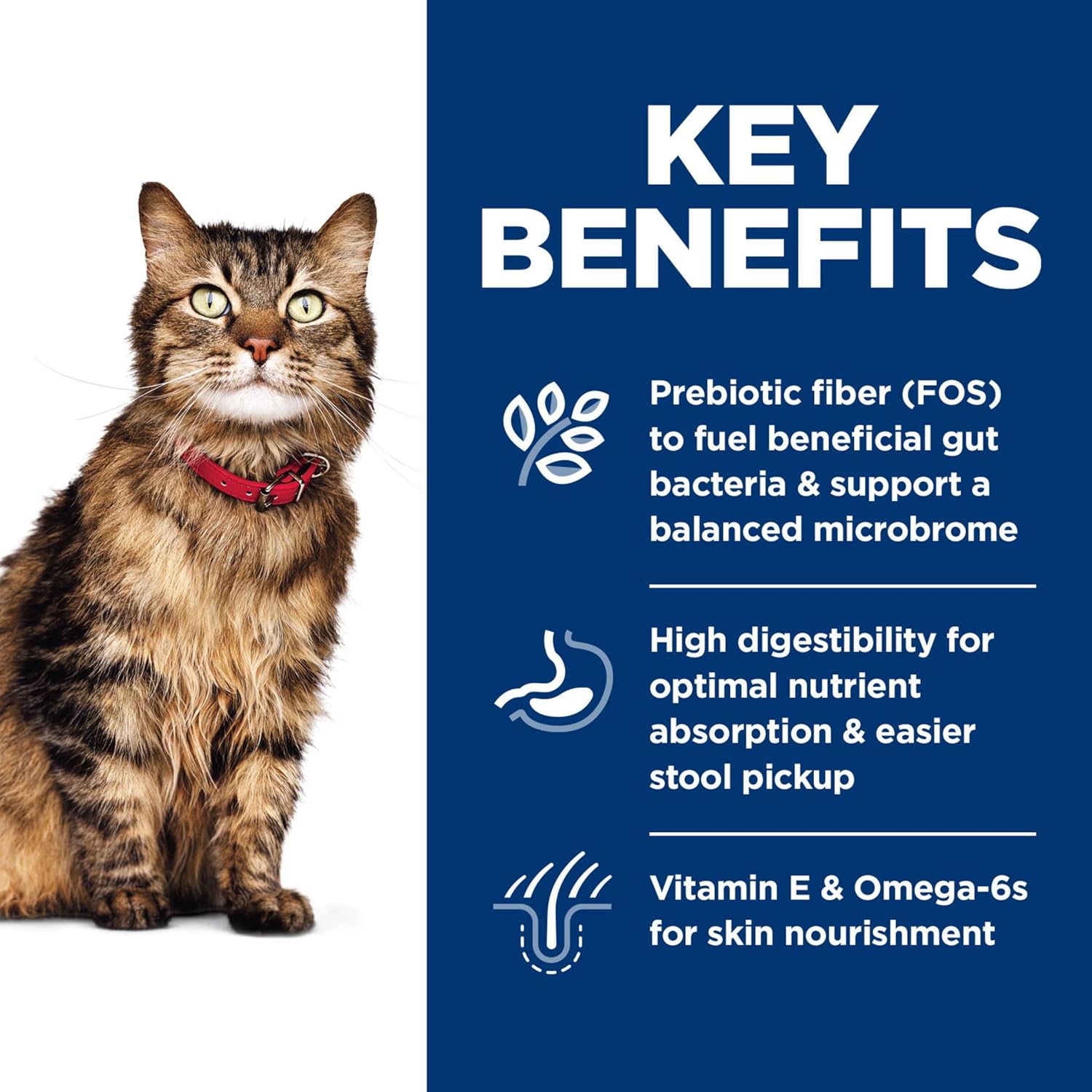 Sensitive Stomach & Skin, Adult 1-6, Stomach & Skin Sensitivity Support, Dry Cat Food, Chicken & Rice, 7 Lb Bag