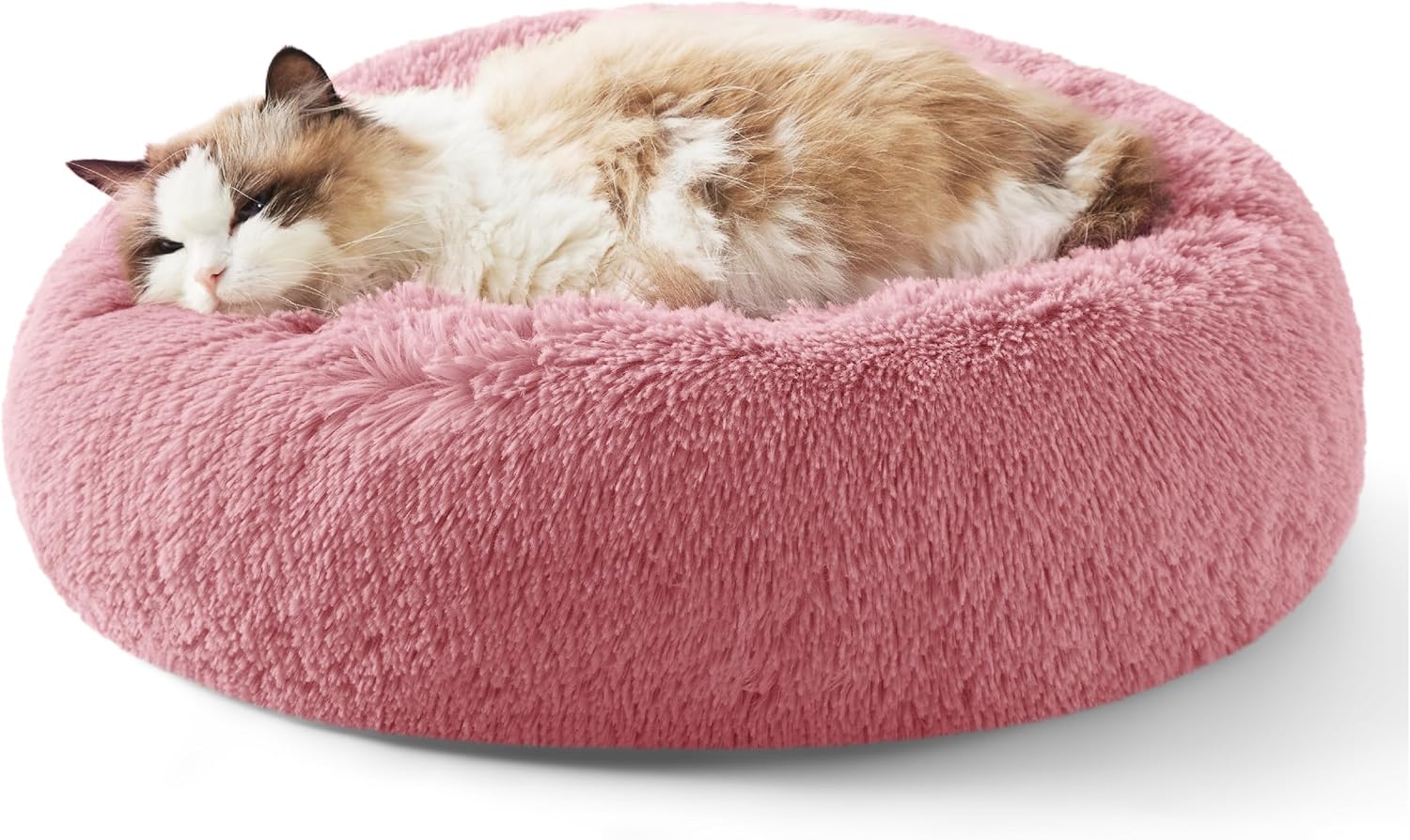 Calming Cat Beds for Indoor Cats - Small Cat Bed Washable 20 Inches, Anti-Slip round Fluffy Plush Faux Fur Pet Bed, Fits up to 15 Lbs Pets, Aqua Blue