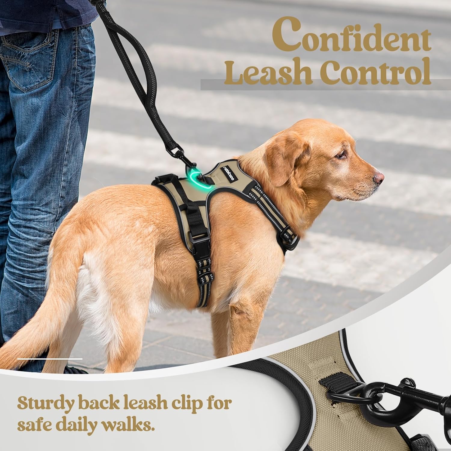 Dog Harness No Pull with 2 Leash Clips, Adjustable Soft Padded, Reflective Oxford No Choke Pet Vest with Easy Control Handle for Large Dogs, Beige, XL