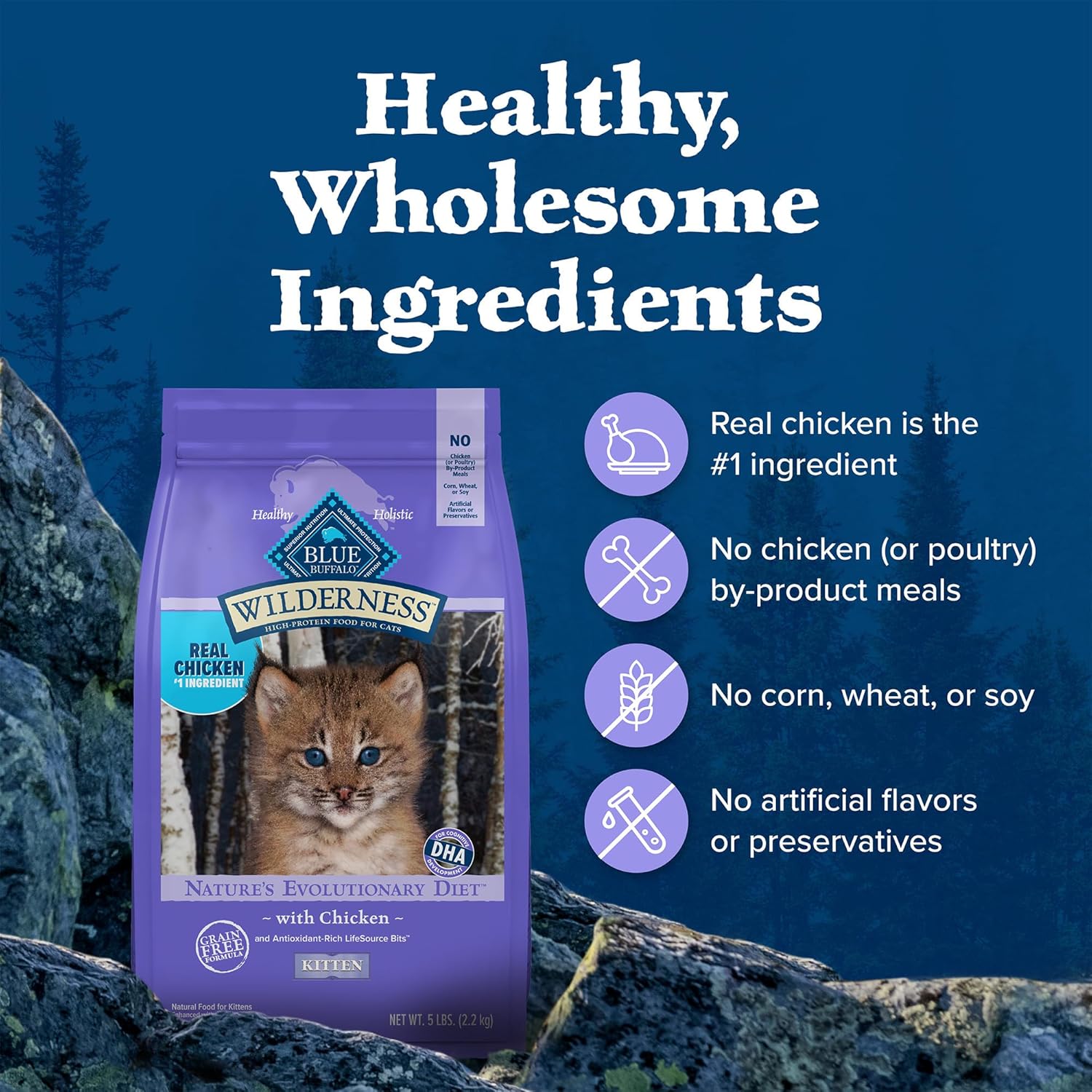 Blue Buffalo Wilderness Natural Kitten Dry Cat Food, with DHA and ARA to Support Brain and Eye Development, High-Protein and Grain-Free Diet, Chicken, 5-Lb. Bag