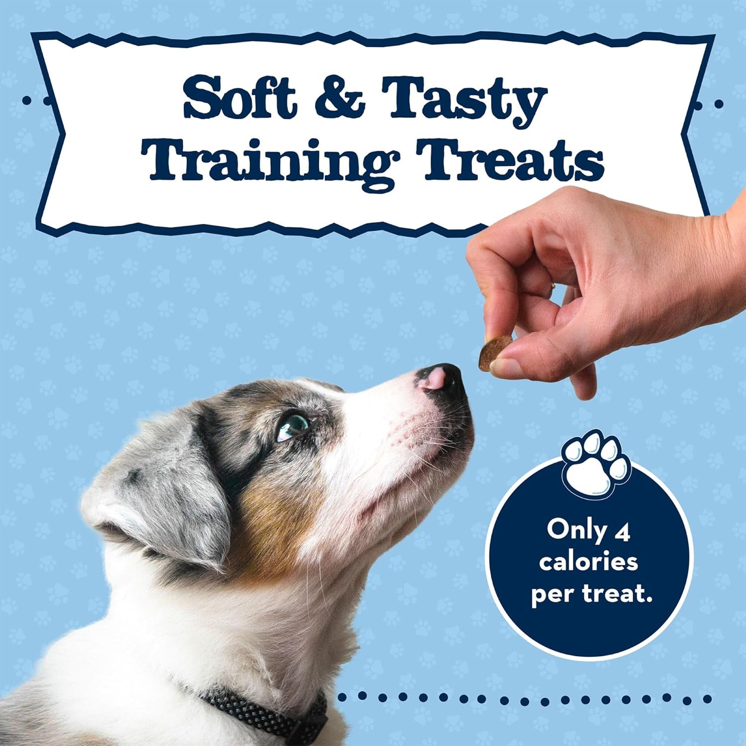 Baby BLUE Training Treats Natural Puppy Soft Dog Treats, Savory Chicken 4-Oz Bag