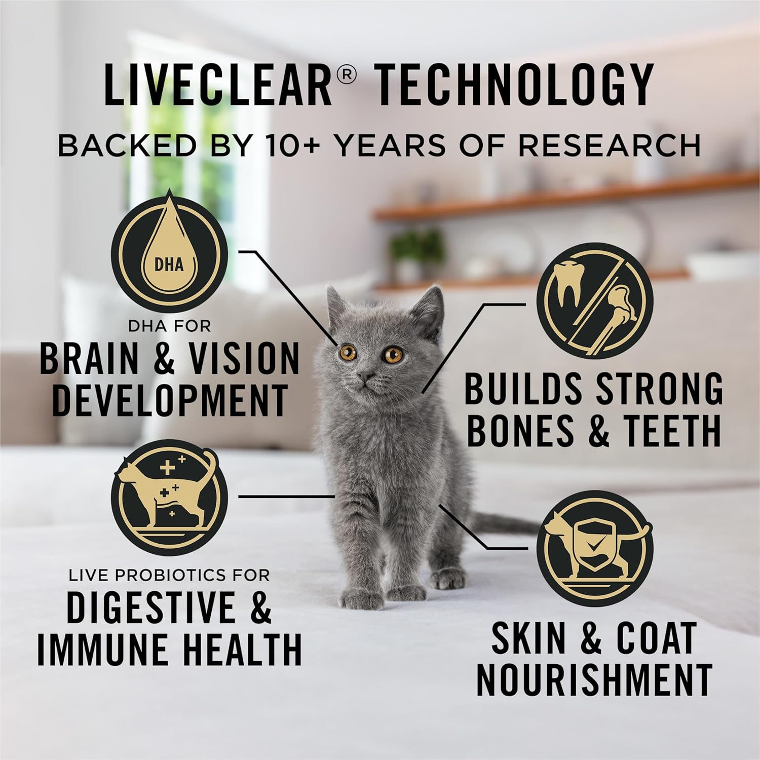 Liveclear Dry Cat Food for Kittens Cat Allergen Reducer Chicken and Rice Formula - 3.2 Lb. Bag
