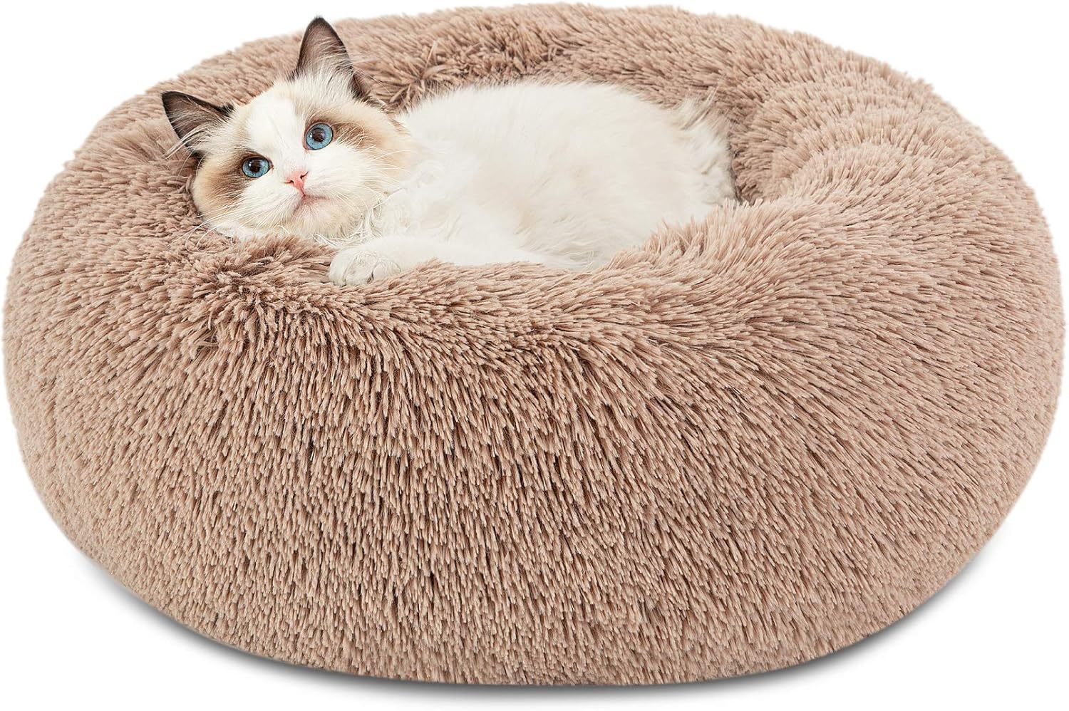 Calming Cat Beds for Indoor Cats - Small Cat Bed Washable 20 Inches, Anti-Slip round Fluffy Plush Faux Fur Pet Bed, Fits up to 15 Lbs Pets, Aqua Blue