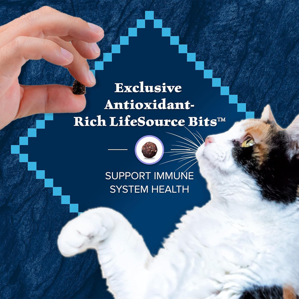 Blue Buffalo Wilderness Natural Kitten Dry Cat Food, with DHA and ARA to Support Brain and Eye Development, High-Protein and Grain-Free Diet, Chicken, 5-Lb. Bag