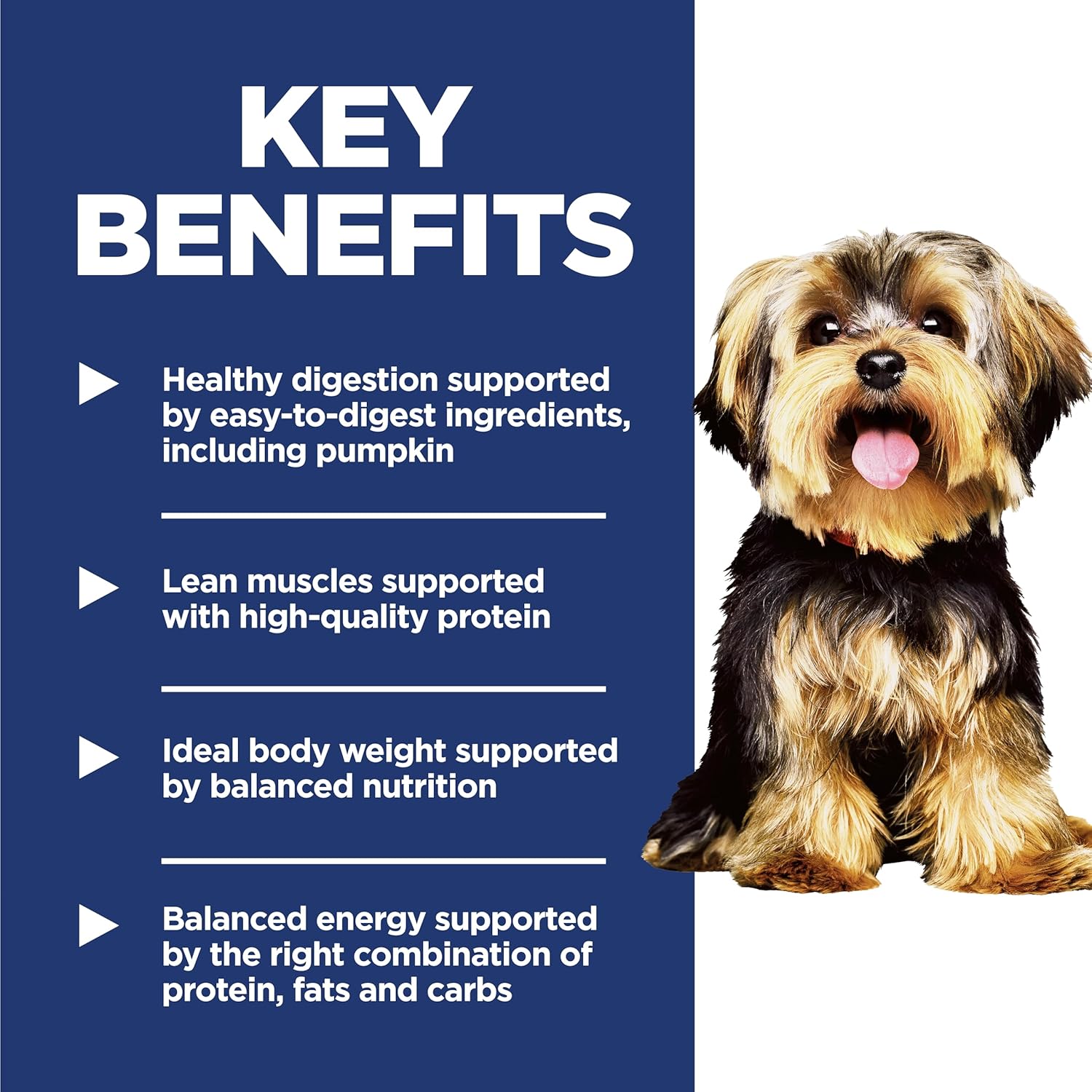 Small & Mini, Adult 1-6, Small & Mini Breeds Premium Nutrition, Dry Dog Food, Chicken & Brown Rice, 4.5 Lb Bag