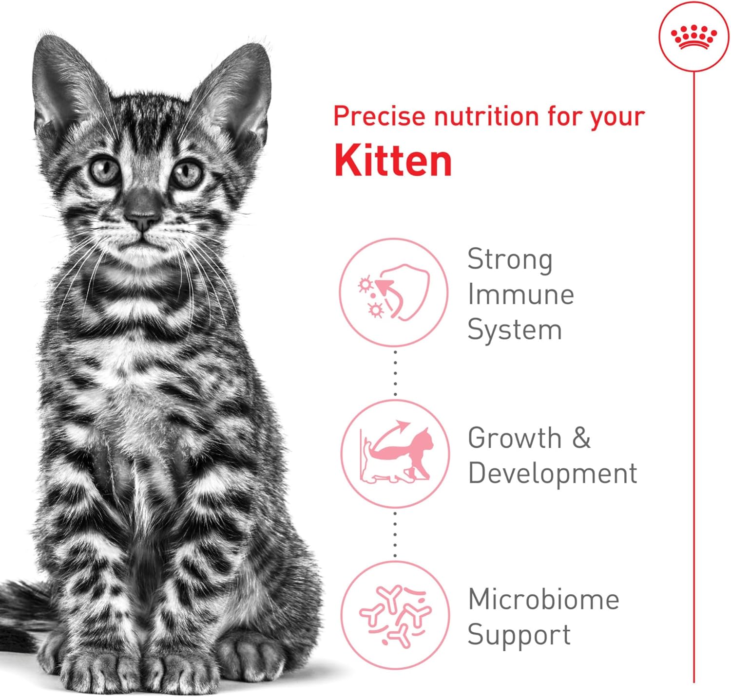 Feline Health Nutrition Kitten Spayed/Neutered Dry Cat Food, 2.5 Lb Bag