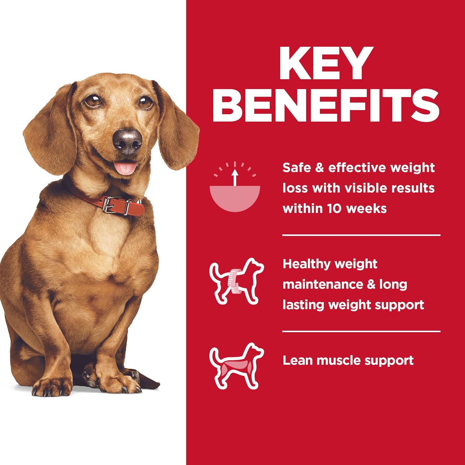 Perfect Weight, Adult 1-6, Small & Mini Breeds Weight Management Support, Dry Dog Food, Chicken Recipe, 4 Lb Bag
