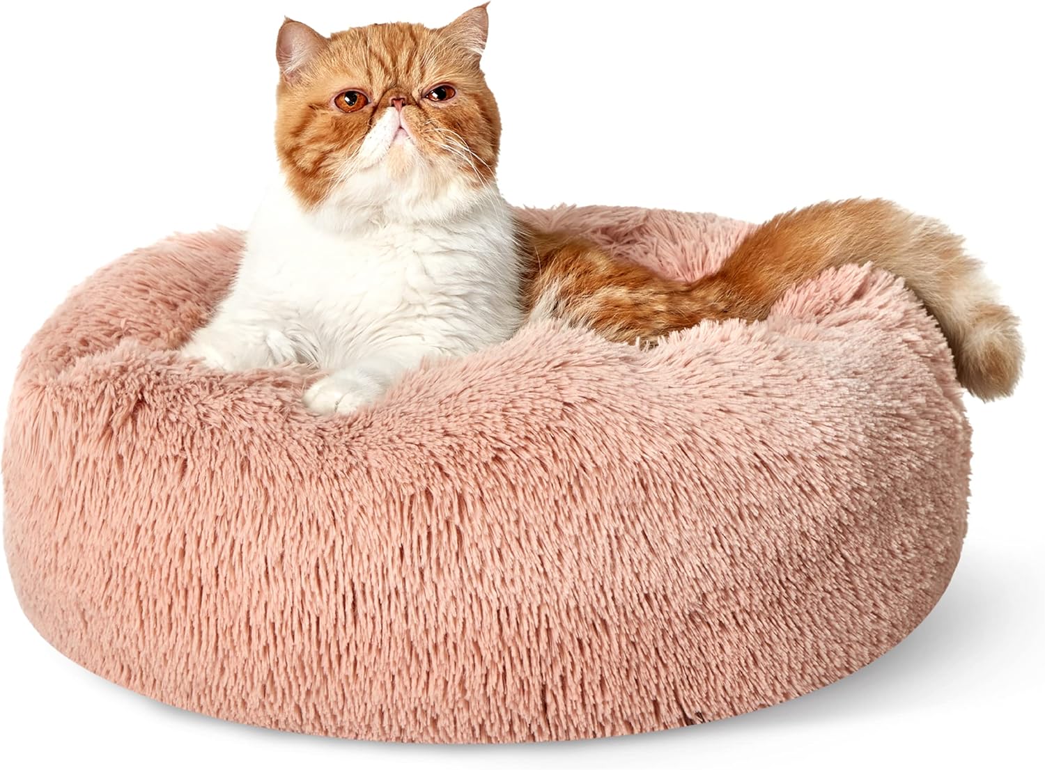 Calming Cat Beds for Indoor Cats - Small Cat Bed Washable 20 Inches, Anti-Slip round Fluffy Plush Faux Fur Pet Bed, Fits up to 15 Lbs Pets, Aqua Blue