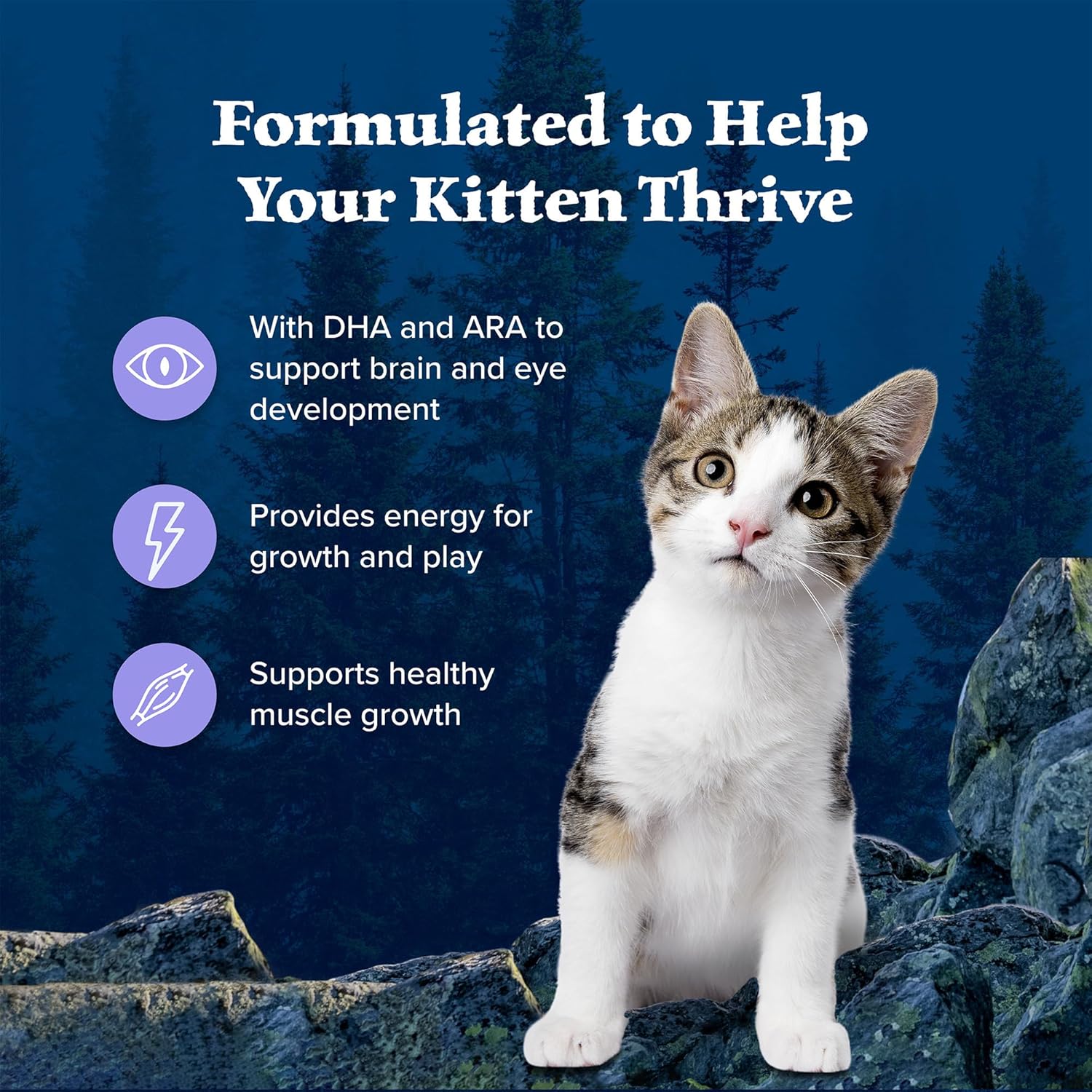 Blue Buffalo Wilderness Natural Kitten Dry Cat Food, with DHA and ARA to Support Brain and Eye Development, High-Protein and Grain-Free Diet, Chicken, 5-Lb. Bag