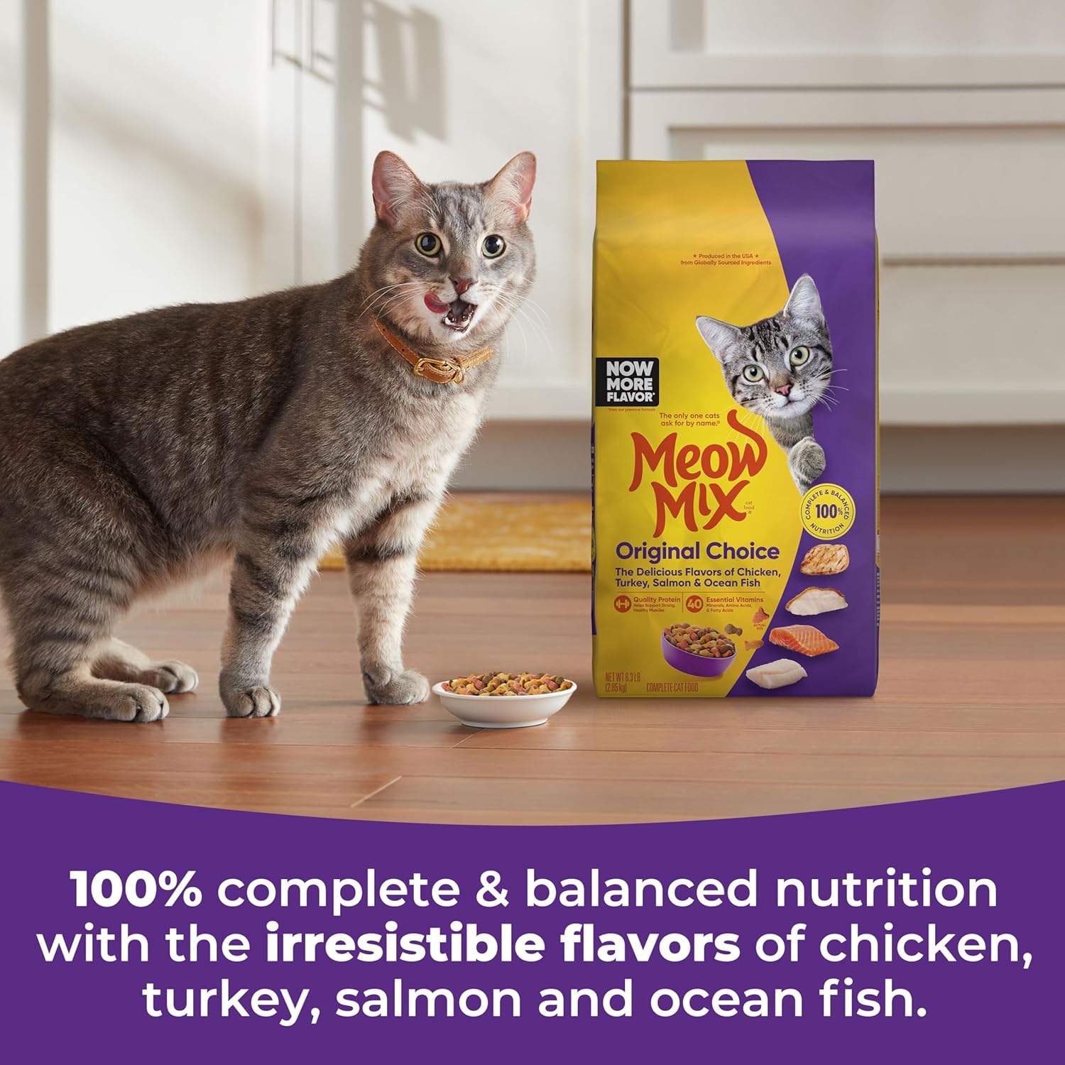 Original Choice Dry Cat Food, 6.3 Pound Bag