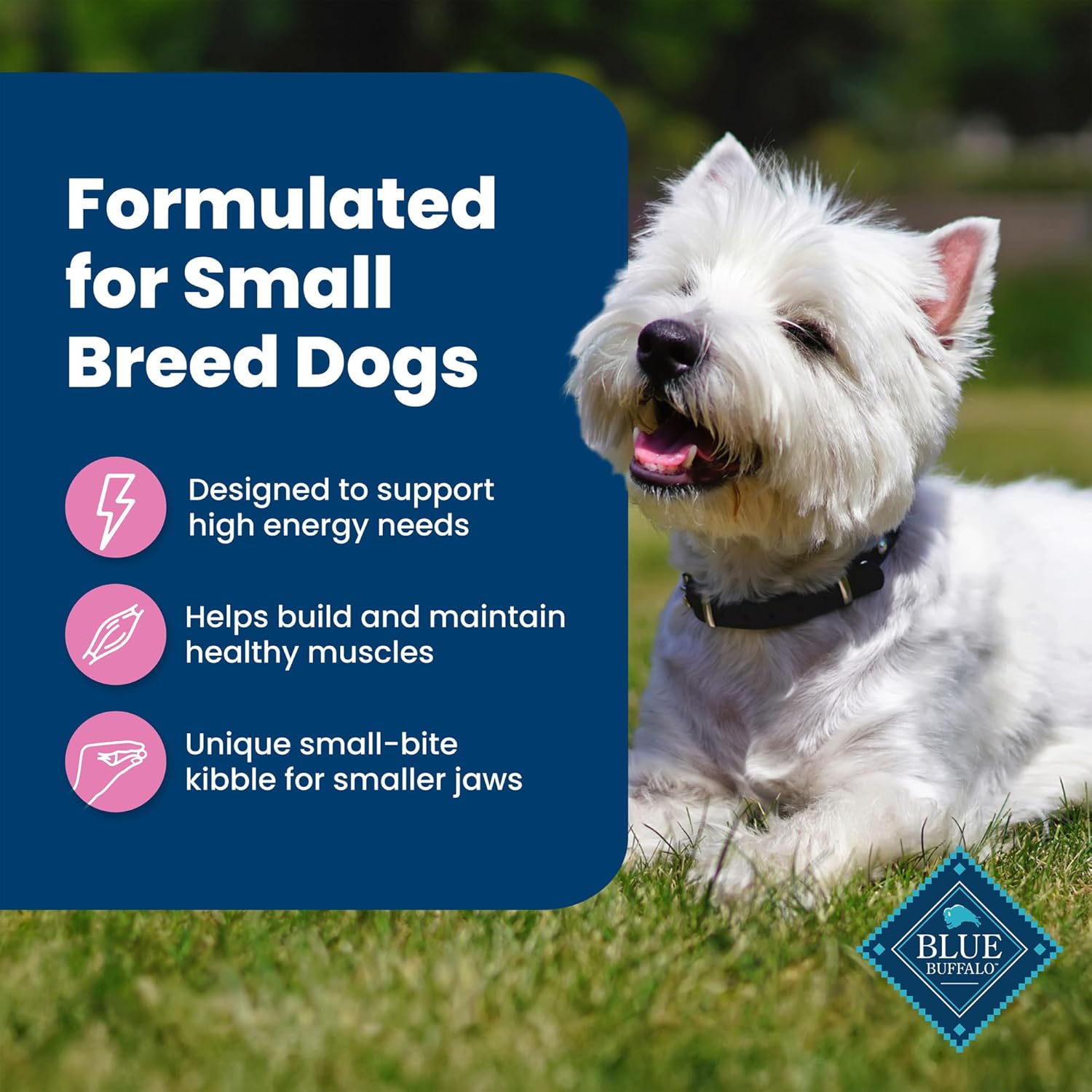 Life Protection Formula Natural Adult Small Breed Dry Dog Food, Chicken and Brown Rice 5-Lb Trial Size Bag