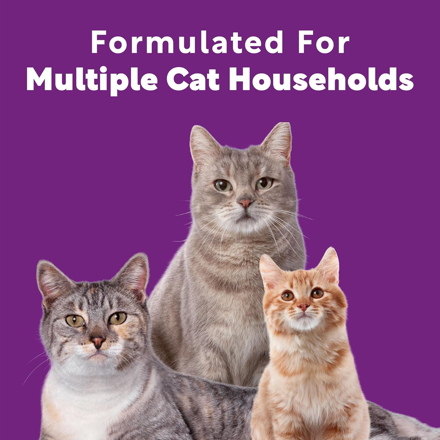 Advanced Multi-Cat Clumping Cat Litter, Meadow Fresh Scent, Pack of 2, 18.5 Pounds (Package May Vary)