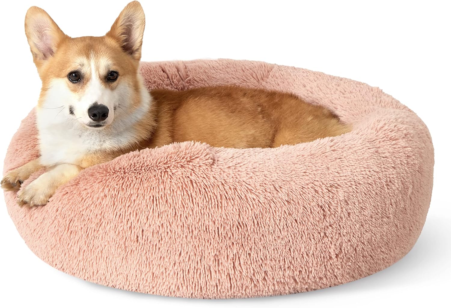 Calming Cat Beds for Indoor Cats - Small Cat Bed Washable 20 Inches, Anti-Slip round Fluffy Plush Faux Fur Pet Bed, Fits up to 15 Lbs Pets, Aqua Blue
