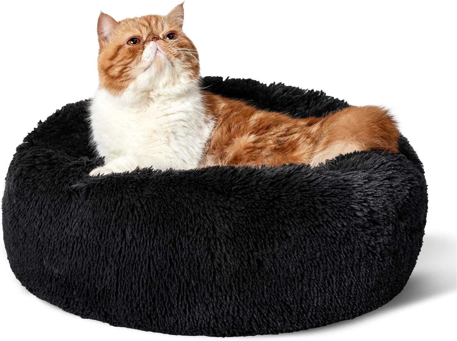 Calming Cat Beds for Indoor Cats - Small Cat Bed Washable 20 Inches, Anti-Slip round Fluffy Plush Faux Fur Pet Bed, Fits up to 15 Lbs Pets, Aqua Blue