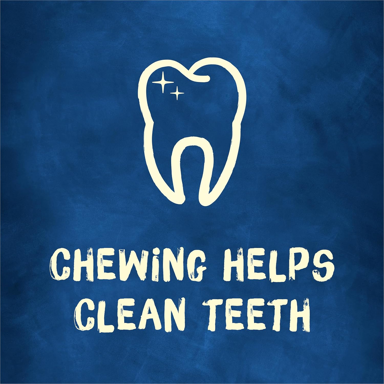 Bone Adult Dog Chew Bone Treats, Peanut Butter - 10 Ct. Pouch