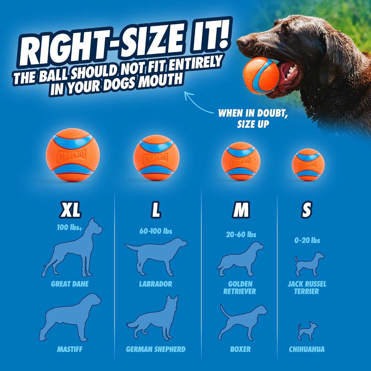 Dog Balls - Interactive Dog Toys, High-Bounce Fetch Ball, Floating Ultra and Rugged Balls, Durable - Size Medium, 2.5-Inch Diameter, Set of 3