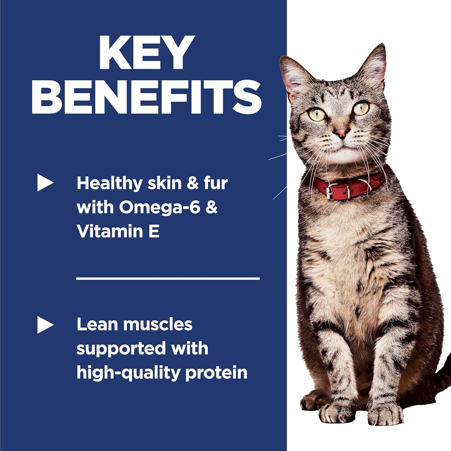 Adult 1-6, Adult 1-6 Premium Nutrition, Dry Cat Food, Chicken Recipe, 7 Lb Bag