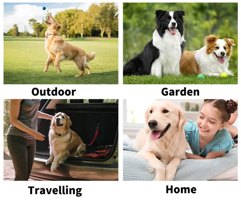 Pet Wash-Free Gloves