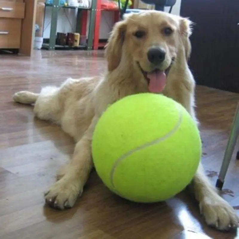 7/8/9.5 Inch Dog Tennis Ball Giant Pet Toys for Dog Chewing Toy Signature Mega Jumbo Kids Ball Training Supplies Dropship Plush