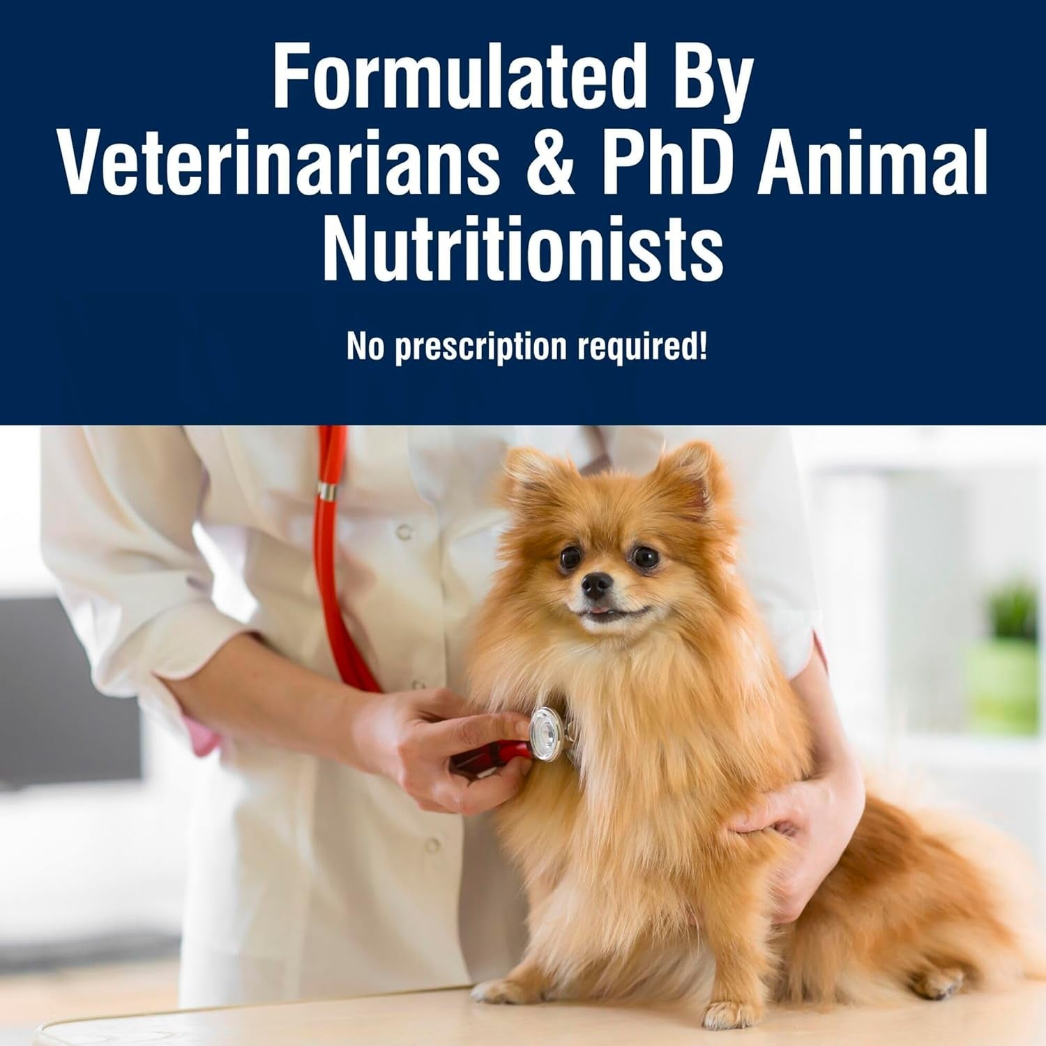 True Solutions Small Breed Care Natural Dry Dog Food for Adult Small Breed Dogs, Chicken, 4-Lb. Bag